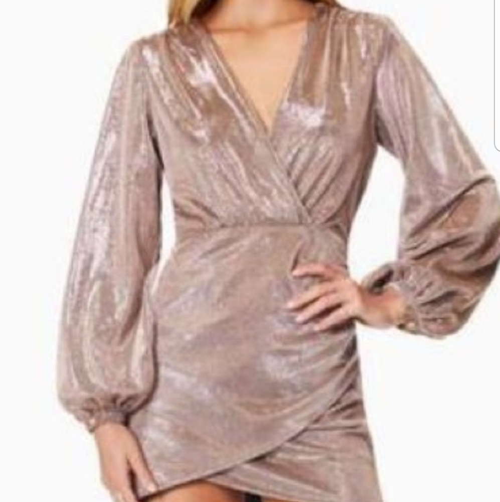 Ramy Brook Shimmering Silver Long Sleeve Dress